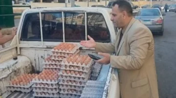 سعر كرتون البيض يرتفع إلى 115 جنيهاً في سوق الإسكندرية اليوم